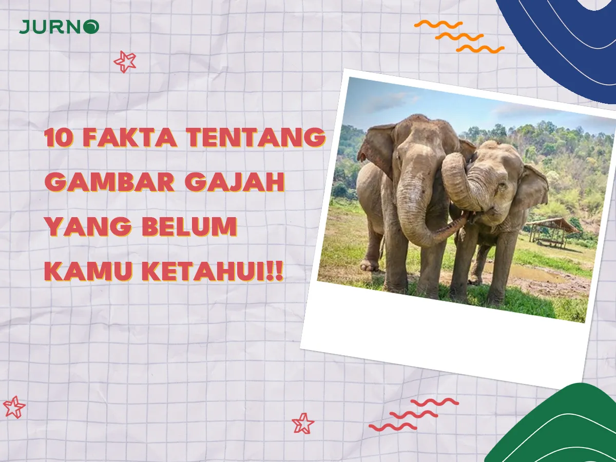 10 Fakta Mengejutkan Tentang Gambar Gajah 10 Fakta Mengejutkan Tentang Gambar Gajah
