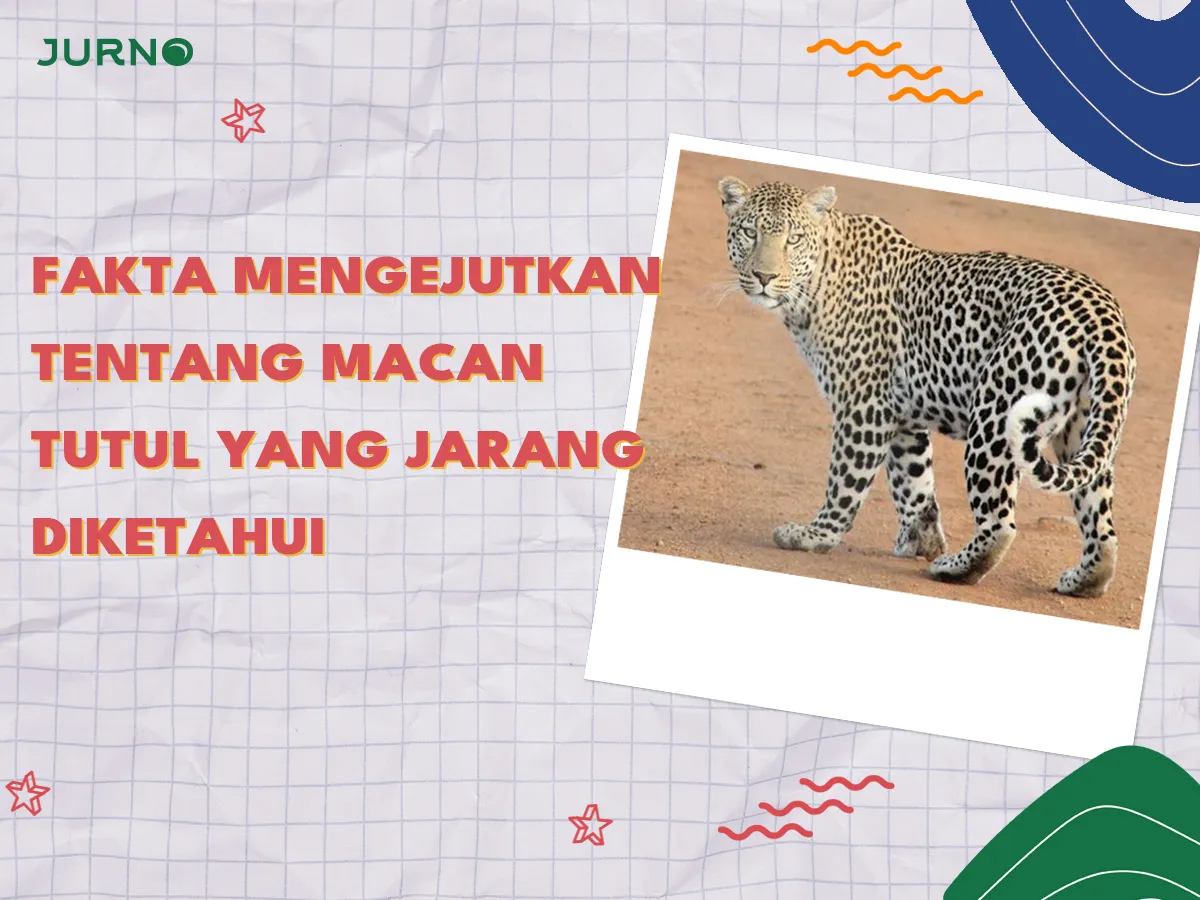 Fakta Mengejutkan tentang Macan Tutul yang Jarang Diketahui! Fakta Mengejutkan tentang Macan Tutul yang Jarang Diketahui!
