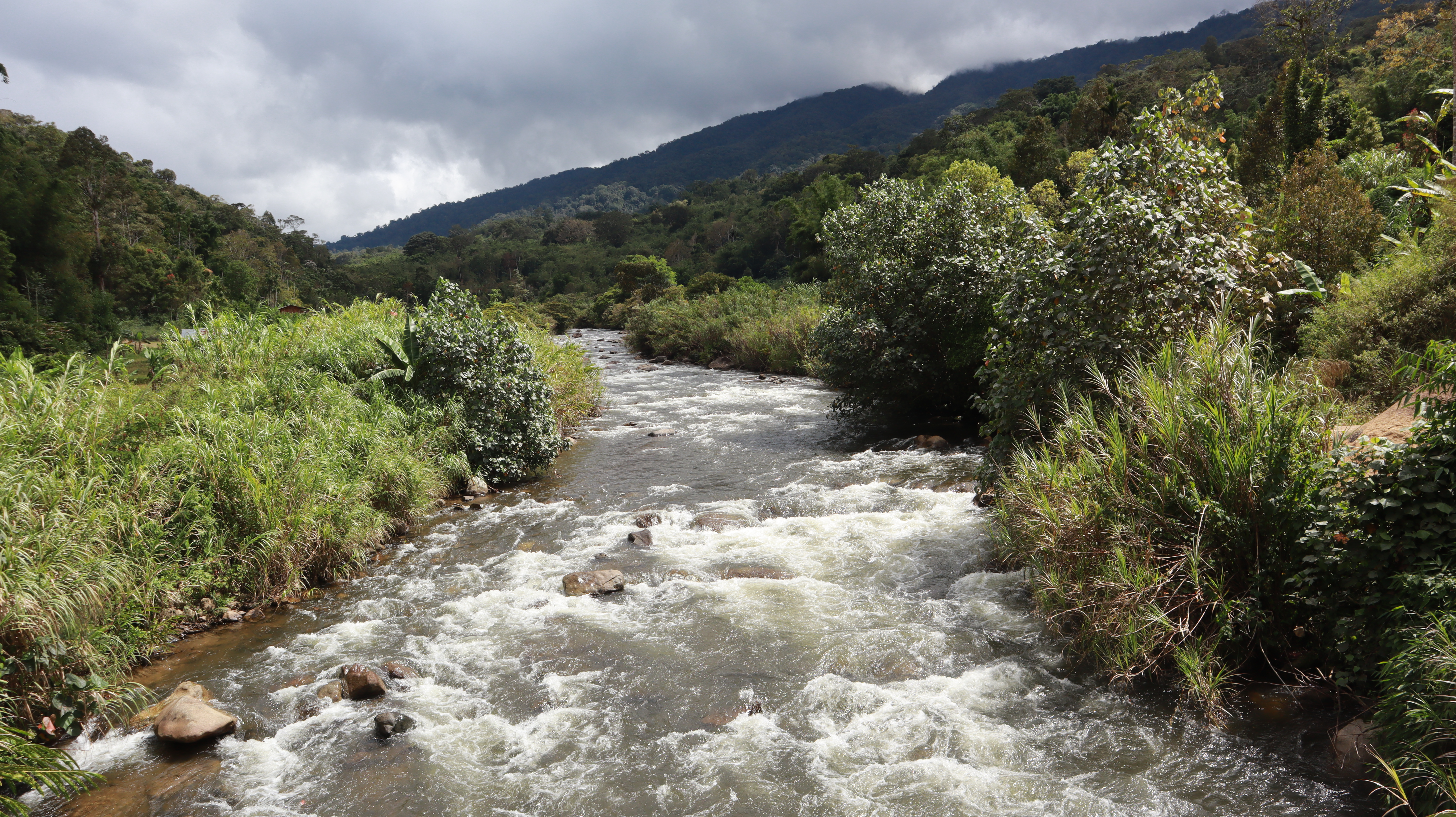 Sungai Batang Langkup yang mengalir deras dan masih terjaga sehingga dapat dimanfaatkan untuk pembangkit listrik tenaga mikro hidro. (Foto: M Sobar Alfahri/Deduktif)